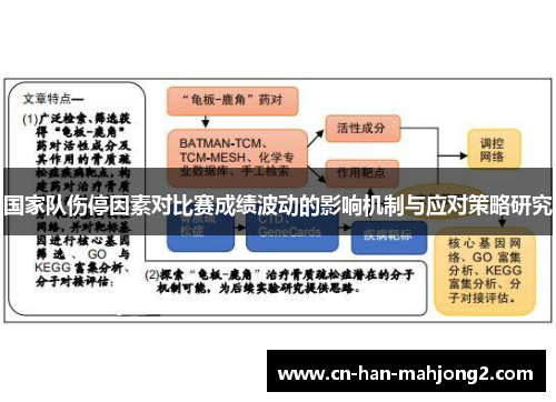 国家队伤停因素对比赛成绩波动的影响机制与应对策略研究